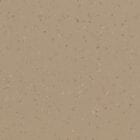 China Clay Vinyl Flooring 8623