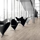 Light Elm 6182 gallery