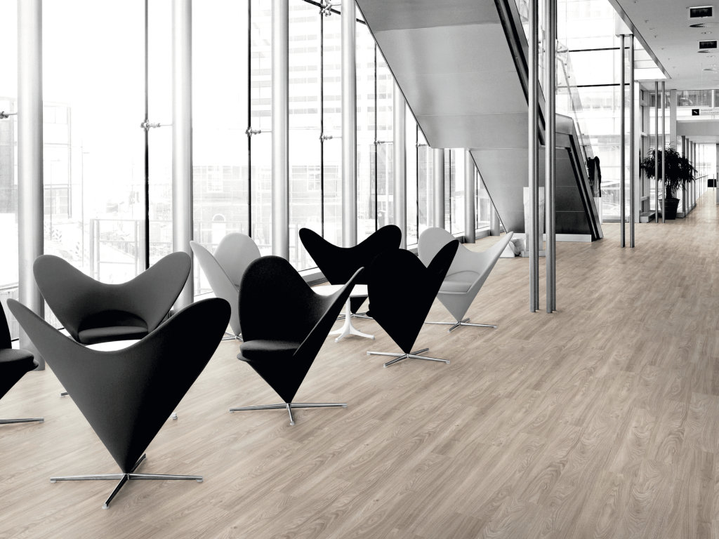 Light Elm 6182 gallery