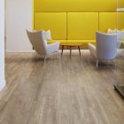 Light Elm 6182 gallery