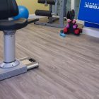 Light Elm 6182 gallery