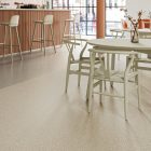 Wild Mushroom 4600 gallery